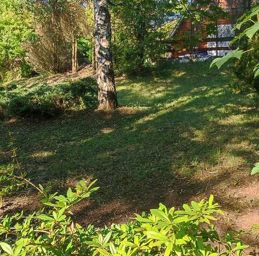 Daire The Woodhouse Vendeghaz